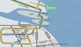 最新暑假活动爆料新闻稿,最新活动爆料，精彩纷呈等你来参与！